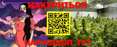 ешки Новодвинск