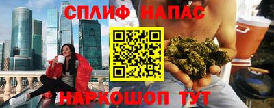 ешки Новодвинск