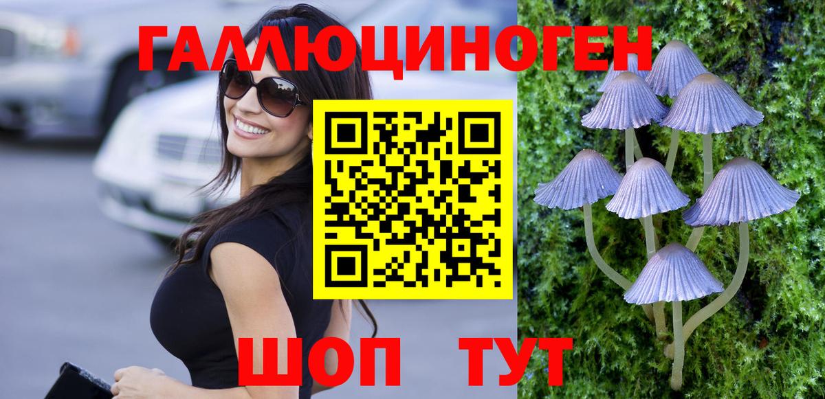 Саяногорск  Галлюциногенные грибы Psilocybine cubensis  Вход с VPN  Галлюциногенные грибы ЛСД 