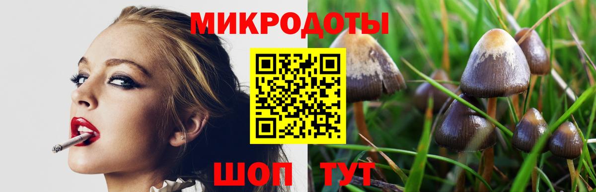 Псилоцибиновые грибы мухоморы Саяногорск